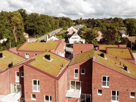 Project Dendermondse Volkswoningen